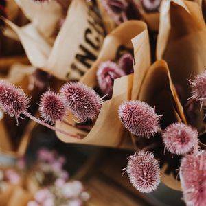 Preview wallpaper bouquets, flowers, purple, closeup