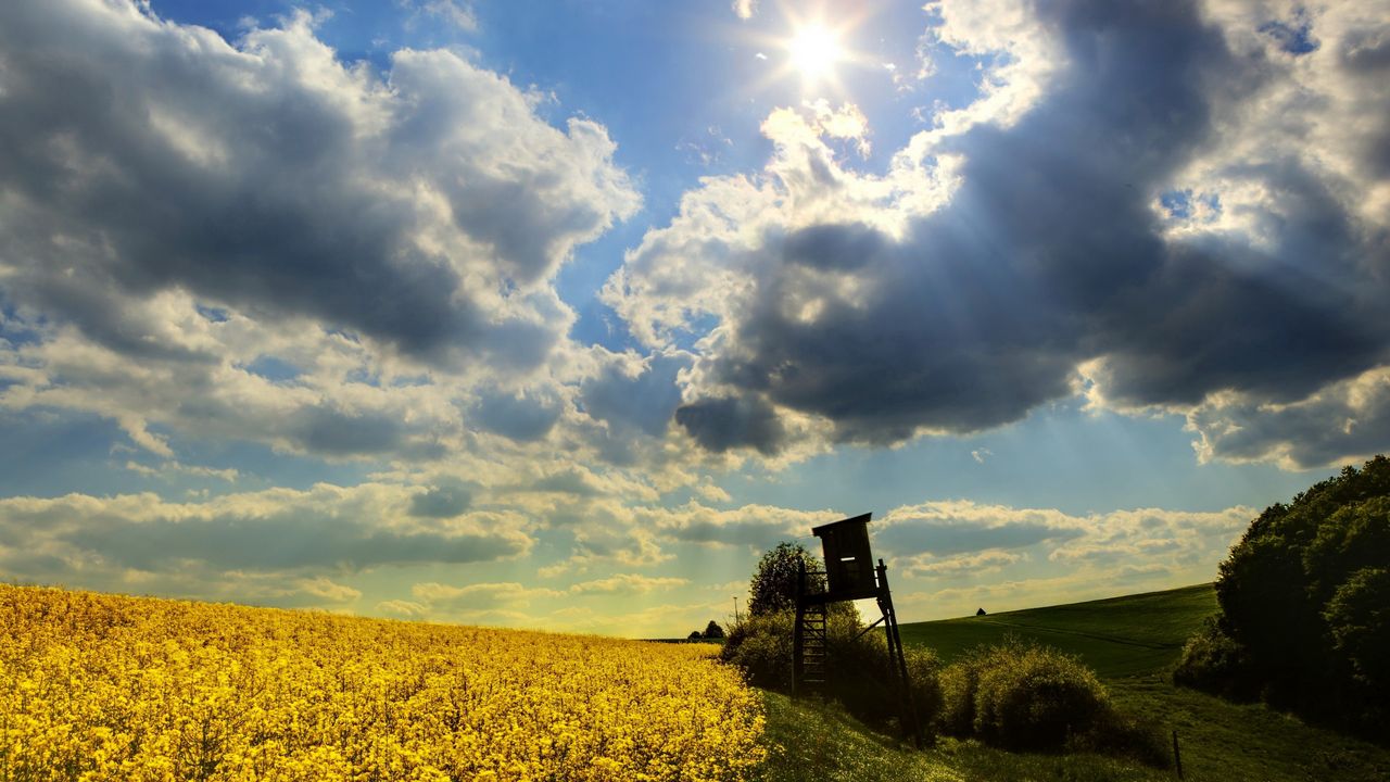 Wallpaper box, field, clouds, sky, sun