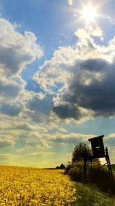 Preview wallpaper box, field, clouds, sky, sun