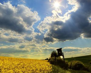 Preview wallpaper box, field, clouds, sky, sun