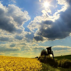 Preview wallpaper box, field, clouds, sky, sun