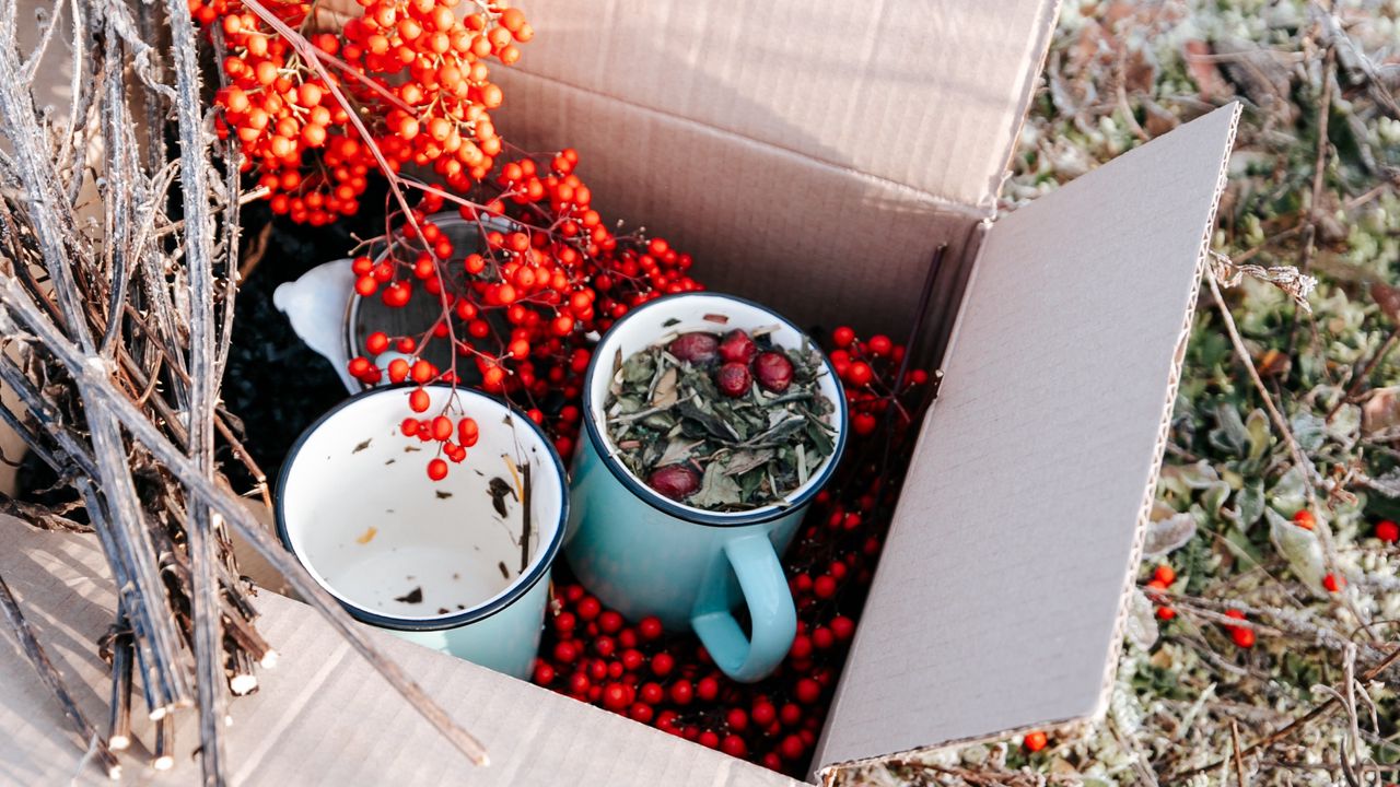 Wallpaper box, rowan, mugs, branches, berries