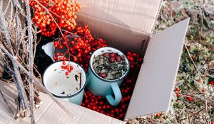 Preview wallpaper box, rowan, mugs, branches, berries