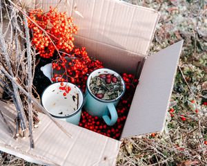Preview wallpaper box, rowan, mugs, branches, berries