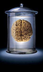 Preview wallpaper brain, glass, brown, blue, black, bank