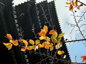 Preview wallpaper branch, autumn, leaves, pagoda