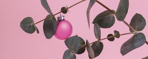 Preview wallpaper branch, ball, decoration, minimalism