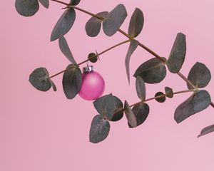 Preview wallpaper branch, ball, decoration, minimalism