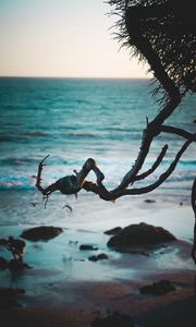 Preview wallpaper branch, beach, sea, water, sand