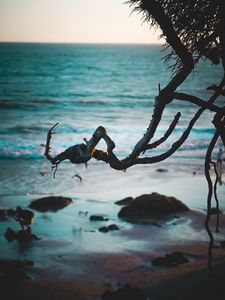 Preview wallpaper branch, beach, sea, water, sand