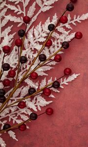 Preview wallpaper branch, berries, leaves, background, red
