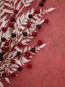 Preview wallpaper branch, berries, leaves, background, red