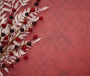 Preview wallpaper branch, berries, leaves, background, red
