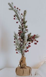 Preview wallpaper branch, berries, needles, new year, christmas