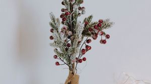 Preview wallpaper branch, berries, needles, new year, christmas