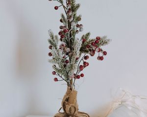 Preview wallpaper branch, berries, needles, new year, christmas
