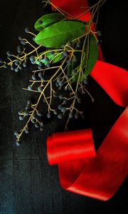 Preview wallpaper branch, berries, ribbon, red