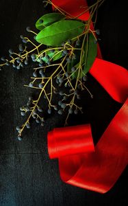 Preview wallpaper branch, berries, ribbon, red