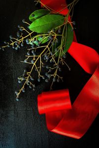 Preview wallpaper branch, berries, ribbon, red