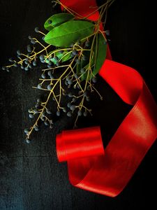 Preview wallpaper branch, berries, ribbon, red