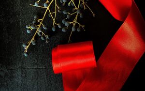 Preview wallpaper branch, berries, ribbon, red