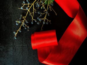 Preview wallpaper branch, berries, ribbon, red