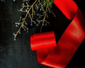 Preview wallpaper branch, berries, ribbon, red