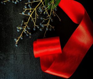 Preview wallpaper branch, berries, ribbon, red