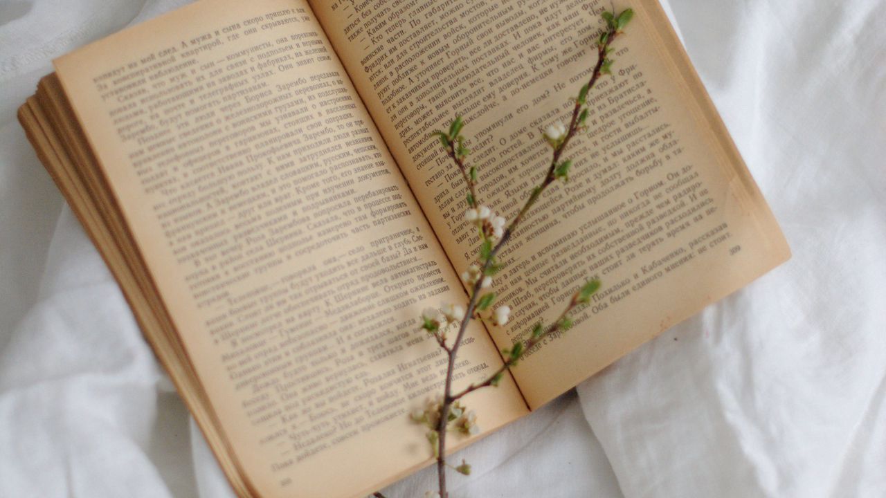 Wallpaper branch, book, white