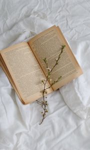 Preview wallpaper branch, book, white