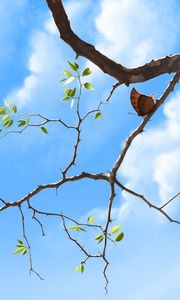 Preview wallpaper branch, butterfly, sky, clouds, art