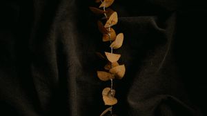 Preview wallpaper branch, fabric, folds, minimalism, black