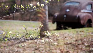 Preview wallpaper branch, flowers, car, motion blur