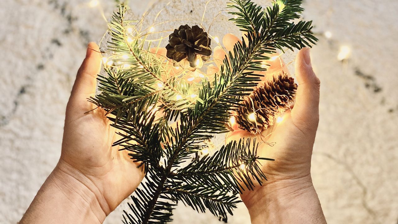 Wallpaper branch, garland, cones, hands, holiday, new year, christmas