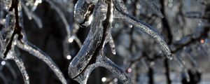 Preview wallpaper branch, ice, icicle, winter, macro