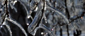 Preview wallpaper branch, ice, icicle, winter, macro