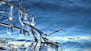 Preview wallpaper branch, ice, water, macro