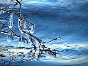 Preview wallpaper branch, ice, water, macro