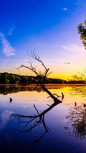 Preview wallpaper branch, lake, reflection, dusk