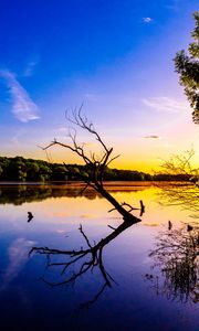 Preview wallpaper branch, lake, reflection, dusk