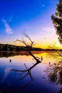 Preview wallpaper branch, lake, reflection, dusk