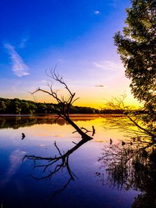 Preview wallpaper branch, lake, reflection, dusk