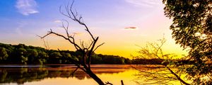 Preview wallpaper branch, lake, reflection, dusk
