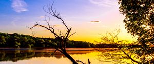 Preview wallpaper branch, lake, reflection, dusk