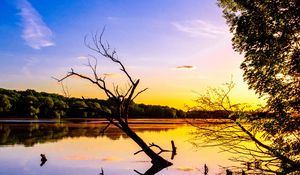 Preview wallpaper branch, lake, reflection, dusk