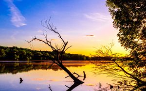 Preview wallpaper branch, lake, reflection, dusk