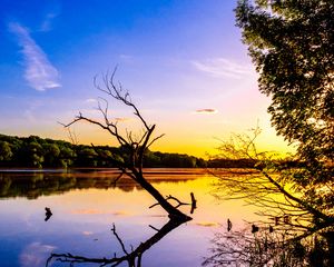 Preview wallpaper branch, lake, reflection, dusk