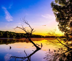 Preview wallpaper branch, lake, reflection, dusk