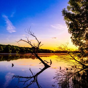 Preview wallpaper branch, lake, reflection, dusk