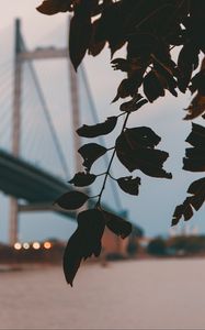 Preview wallpaper branch, leaves, bridge, blur, twilight